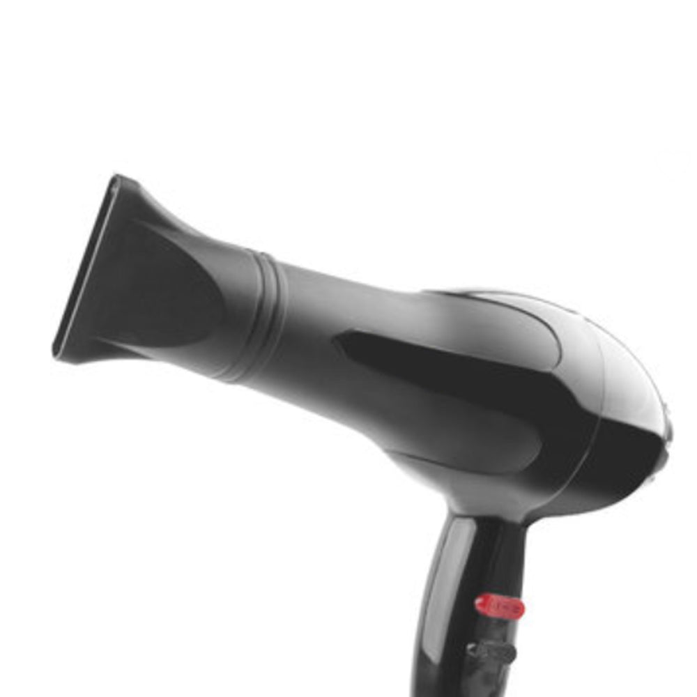 0386 1500 Watts Professional Hair Dryer 2888 (Black)