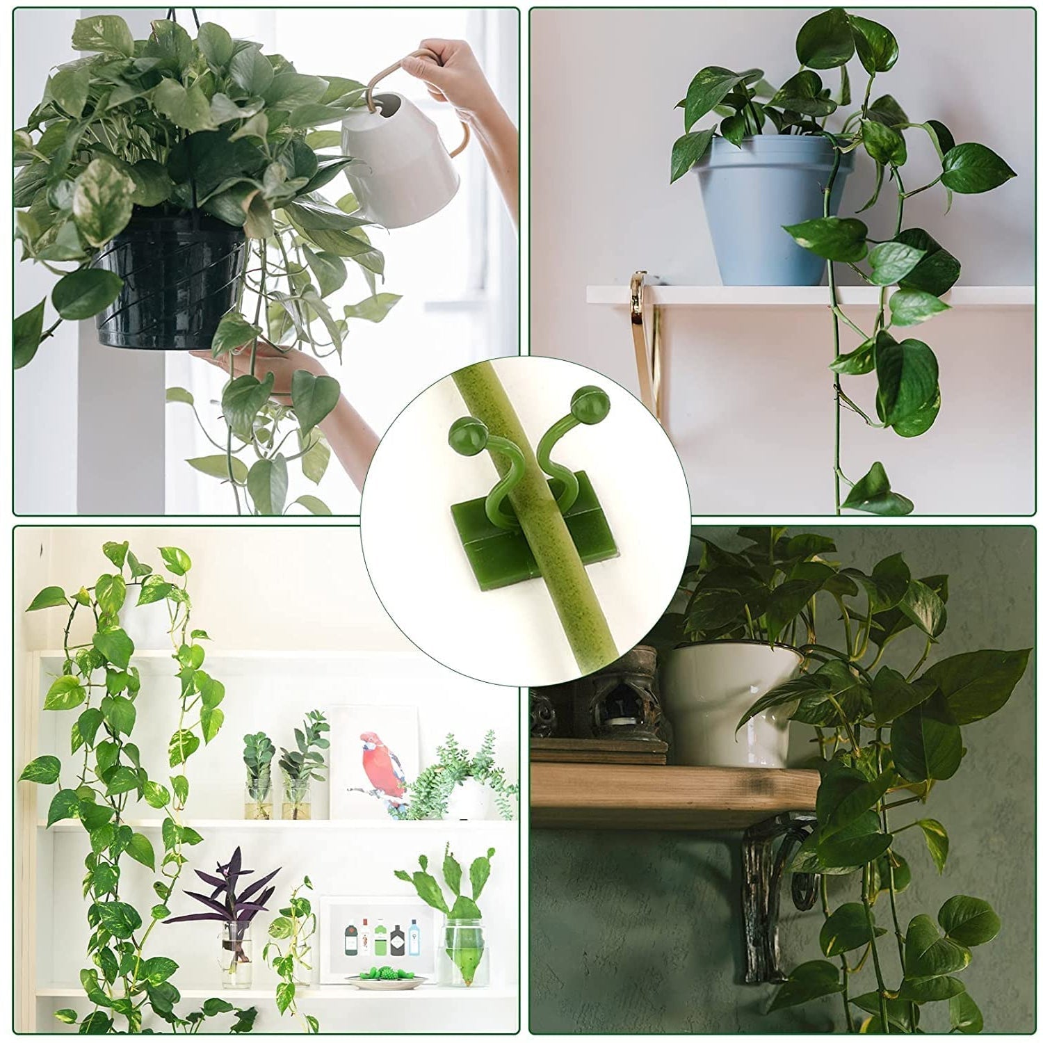 6156L Plant Climbing Wall Clips Self-Adhesive Money Plant Support Clips Vine Plant Climbing Fixing Clip