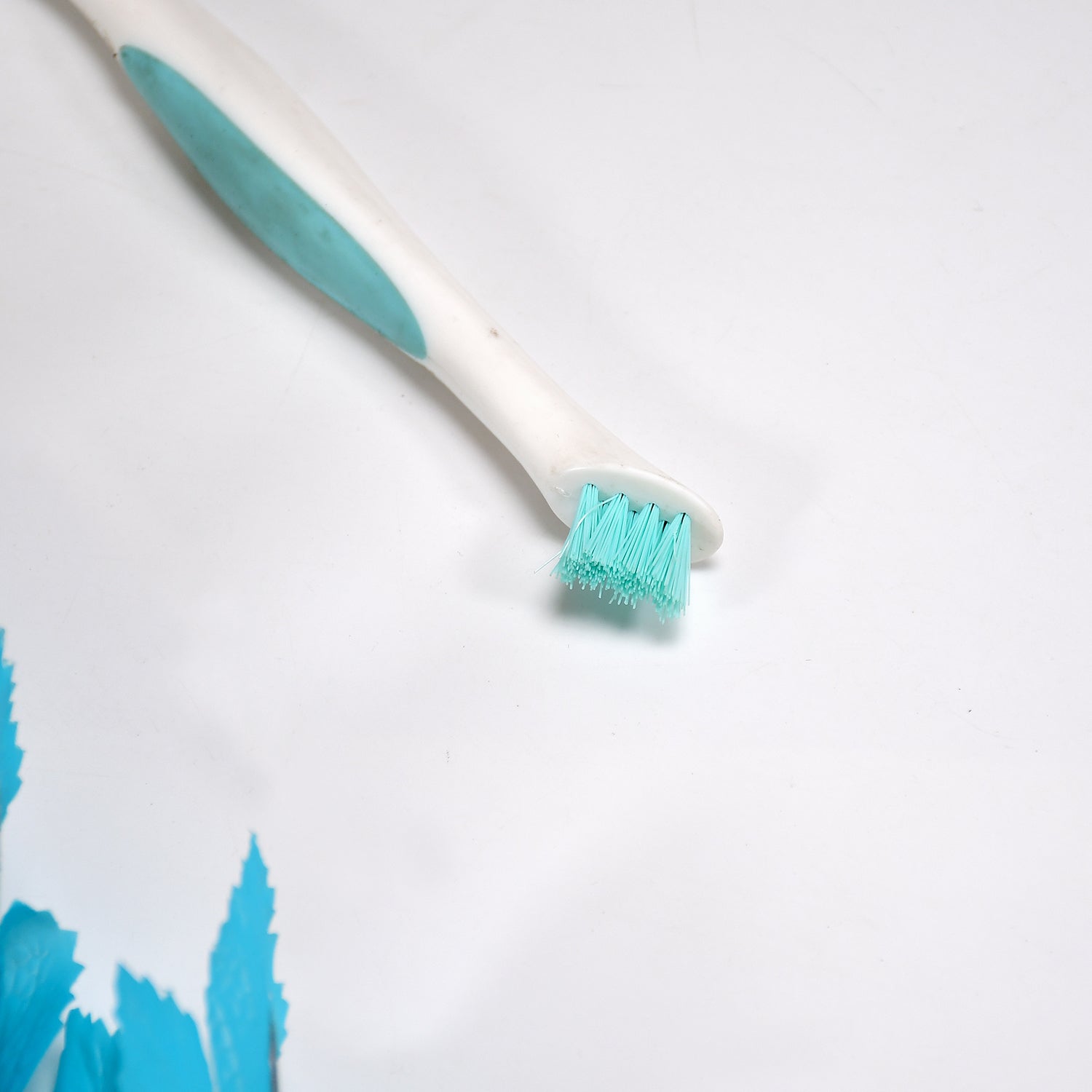 6665 Multipurpose 2 side brush for home and kitchen use. 